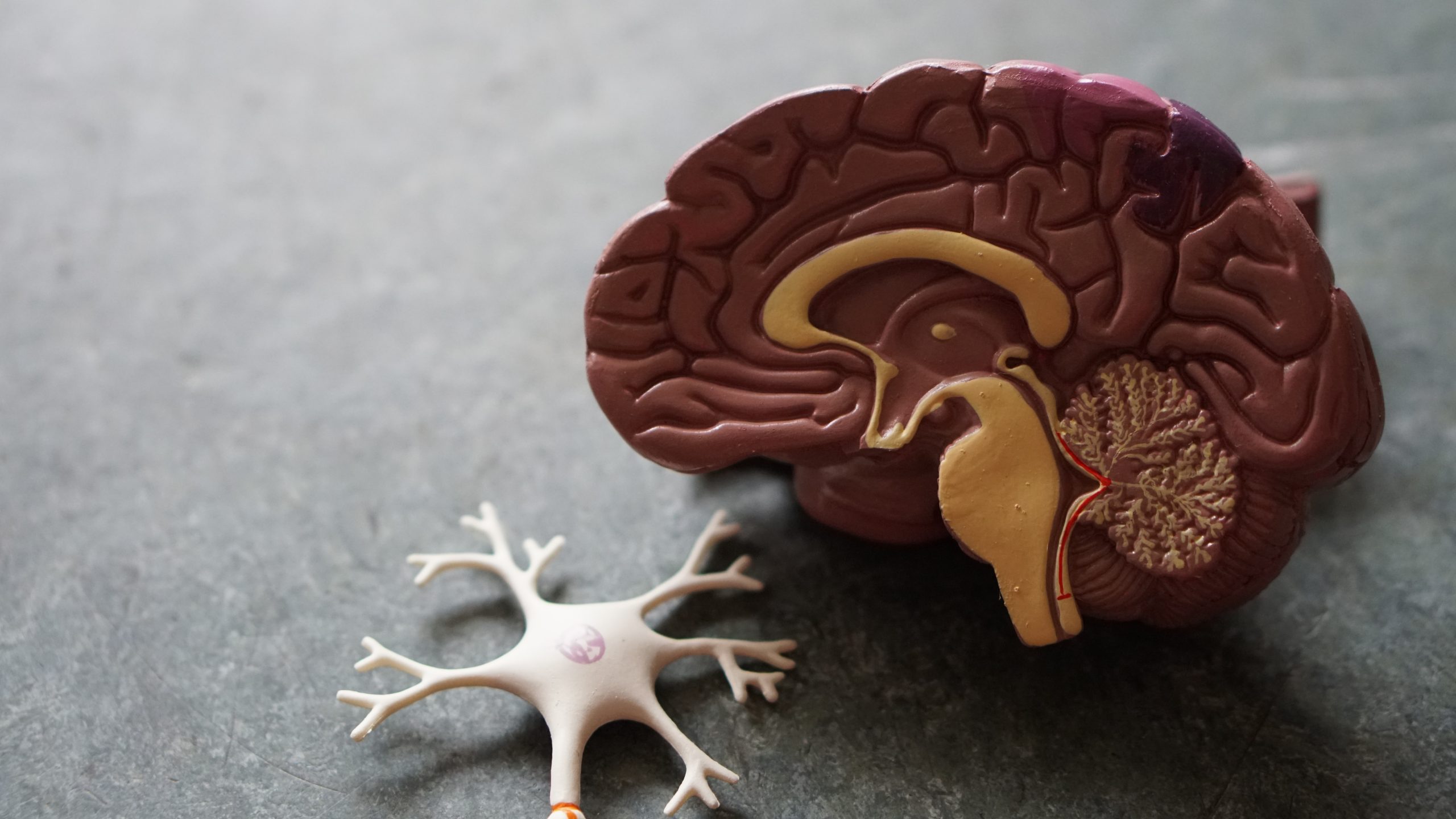 Alexandria Brain Injury Lawyer